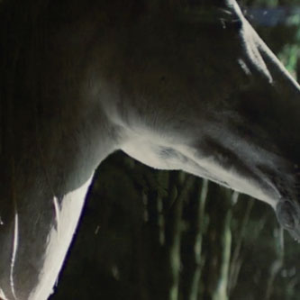 Cambria wesbiste thumbnail